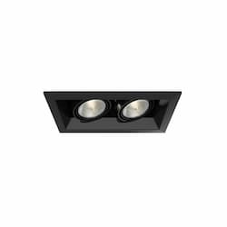 100W Recessed Light w/ Trim, 2-Light, PAR20, 120V, Black/Black