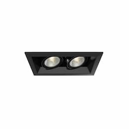 100W Recessed Light w/ Trim, 2-Light, PAR20, 120V, Black/Black