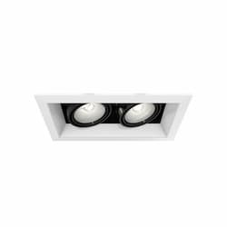 100W Recessed Light w/ Trim, 2-Light, PAR20, 120V, White/Black