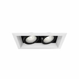 100W Recessed Light w/ Trim, 2-Light, PAR20, 120V, White/Black