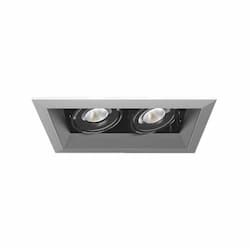 30W Recessed Light w/ Trim, 2-Light, 20°, 120V, 3000K, Platinum/Black