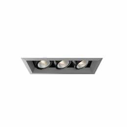 150W Recessed Light w/ Trim, 3-Light, PAR20, 120V, Platinum/Black