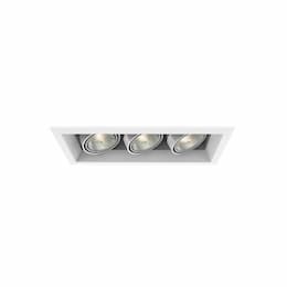 150W Recessed Light w/ Trim, 3-Light, PAR20, 120V, White/White