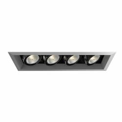 200W Recessed Light w/ Trim, Linear, 4-Light, PAR20, 120V, PLAT/Black