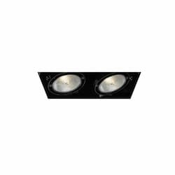 150W Recessed Light w/o Trim, 2-Light, PAR30, 120V, Black