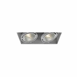 150W Recessed Light w/o Trim, 2-Light, PAR30, 120V, White