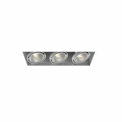 225W Recessed Light w/o Trim, 3-Light, PAR30, 120V, White