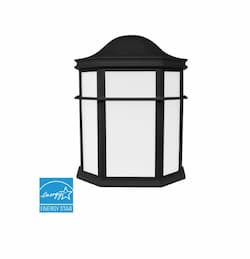 9W LED Decorative Outdoor Lantern, 800 Lumens, 3000K