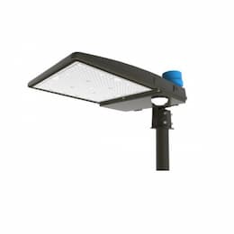 100W LED Shoebox Area Light, 11000 lm, 347V-480V, Type 3, 4000K