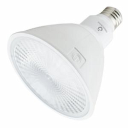 19W PAR38 High Output LED Bulb, 2700K, 25 Deg Beam Angle