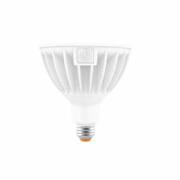 30W LED PAR38 Bulb, Flood, Dim, E26, 2800 lm, 120V-277V, 3000K