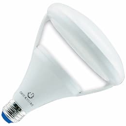 10.5W LED BR40 Bulb, Dimmable, 735 lm, Warm Dim