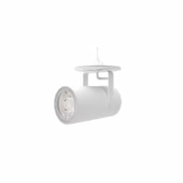 30W/40W Orbit Track Light, CM, Flood, 4000 lm, 120V, 3000K, White