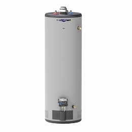 40 Gallon Tall Water Heater, NG, Low Nox, Atmospheric Vent, 10 Yr