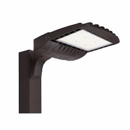 150W LED SekTor Area Light, Type II, Dimmable, 120V-277V, 5000K