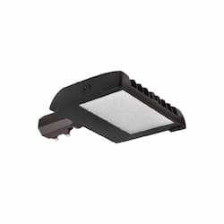 Halco 100/125/150W Sektor Flood Light w/ 3Pin, 120V-277V, CCT Select, Bronze