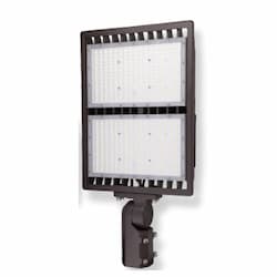 300W LED SekTor Flood Light w/ Trunnion Mount, 120V-277V, 4000K