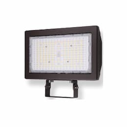 150W LED SekTor Floodlight w/ Trunnion Mount & 10kVA SP, SelectCCT