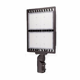 300W LED SekTor Flood Light w/ Trunnion Mount, 347V-480V, 5000K