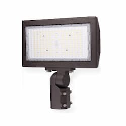 200W LED HV SekTor Flood Light w/ Trunnion Mount & PC, SelectCCT