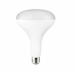 13W LED BR40 Essential Bulb, Flood, Dim, 80 CRI, E26, 120V, 2700K