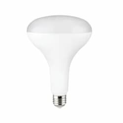 13W LED BR40 Essential Bulb, Flood, Dim, 80 CRI, E26, 120V, 4000K