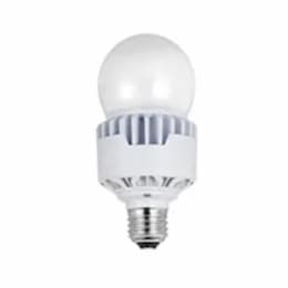 20W ProLED A23 Bulb, 80W HID Equivalent, 84 CRI, E26, 120-277V, 5000K