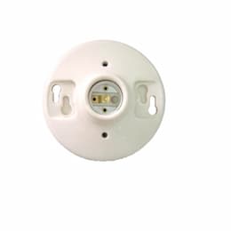 Keyless Lamp Holder, Plastic, White