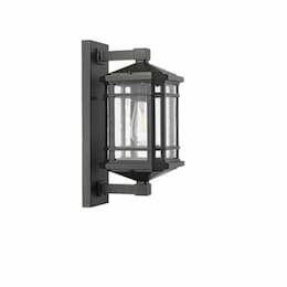 60W Coach Light, Medium, 1-Light, Clear Seeded Glass, Textured Black