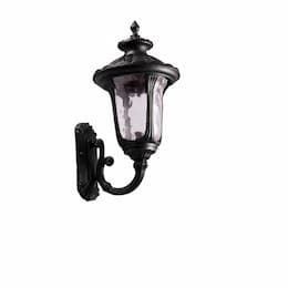 60W Coach Light w/ Bulb, 1-Light, Small, Water Glass, Matte Black