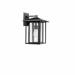 60W Coach Light, 1-Light, Small, E26, Clear Glass, Textured Black