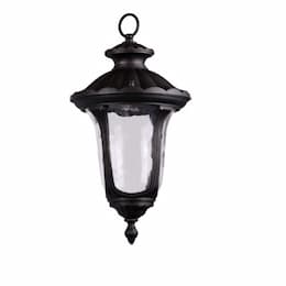 60W Hanging Coach Light, 1-Light, E26, Clear Glass, Matte Black