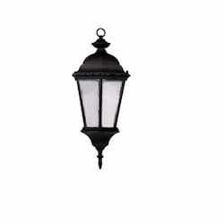 60W Hanging Coach Light, 1-light, E26, Clear Seeded, Matte Black