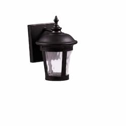 60W Coach Light, Small, 1-Light, E12, Clear Water Glass, Matte Black