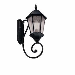 60W Coach Light, 1-Light, Medium, E26, Clear Seeded Glass, Matte Black