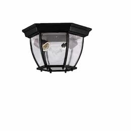 60W Front Porch Flush Mount Fixture, 2-Light, Open Bottom, Matte Black