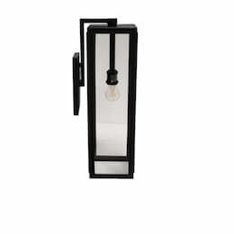 Coach Light, Cube, Medium, Clear Glass, Textured Black