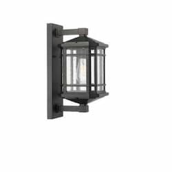 60W Coach Light, Medium, 1-Light, Clear Seeded Glass, Matte Black