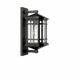 Coach Light, Large, 1-Light, E26, Clear Seeded Glass, Matte Black