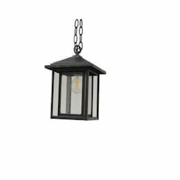 Hanging Coach Light, 1-Light, E26, Clear Glass, Matte Black