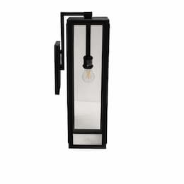 60W Coach Light, Large, 1-Light, Clear Glass, Matte Black