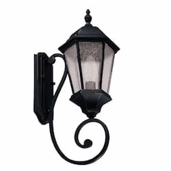 60W Medium Coach Light Fixture, E26, 120V, Matte Black/Clear