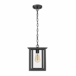 HomEnhancements Hanging Coach Light Fixture, 120V, Matte Black/Clear