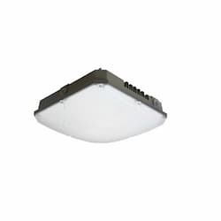 66W LED Canopy Light Fixture, 250W Retrofit, Dimmable, 8455 lm, 5000K