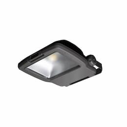 85W Medium LED Flood Light w/ LED Driver, Dimmable, 250W MH Retrofit, 10240 lm, 4000K