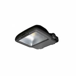 55W Medium LED Flood Light w/ LED Driver, Dimmable, 175W MH Retrofit, 6311 lm, 4000K