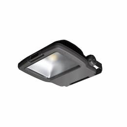 52W Field Replaceable Optic for CFM Flood Light, NEMA 3H x 3V