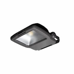 85W Field Replaceable Optic for CFM Flood Light, NEMA 4H x 4V