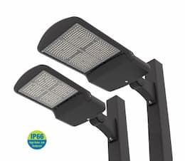 ILP Lighting 20-ft Pole w/ (2) 237.7/288.8W LED Area Light, T4, 120V-277V, 4000K