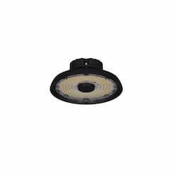 ILP Lighting 198W UFO High Bay w/ BBU Damp, 120V-277V, Selectable CCT, Black, Clear